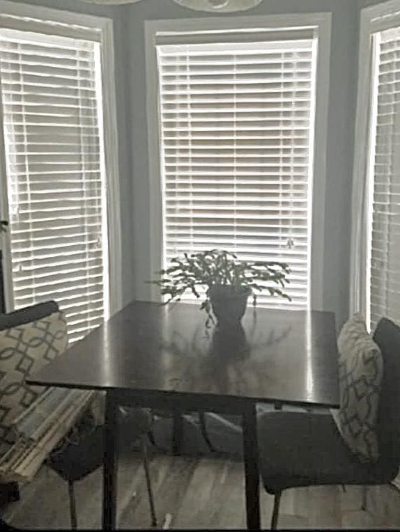 dining space featuring hardwood / wood-style floors