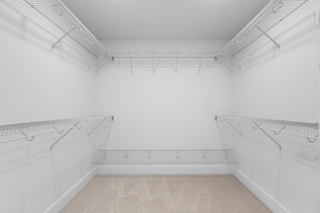 spacious closet featuring light carpet