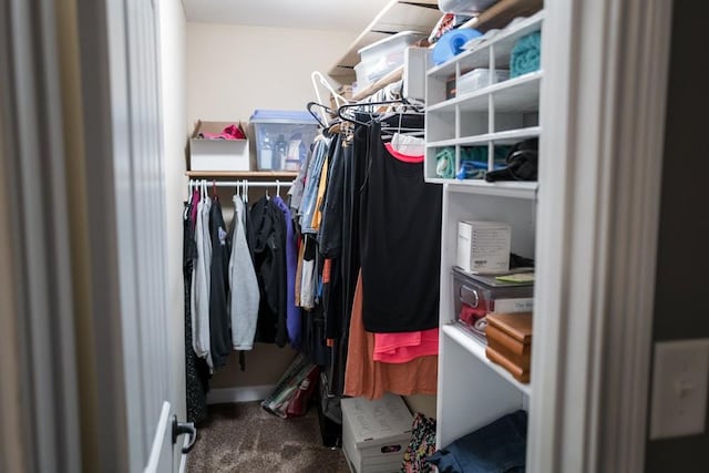 view of spacious closet