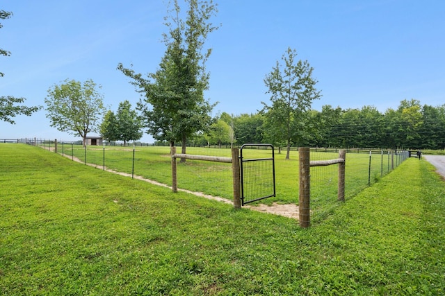 view of yard with a rural view