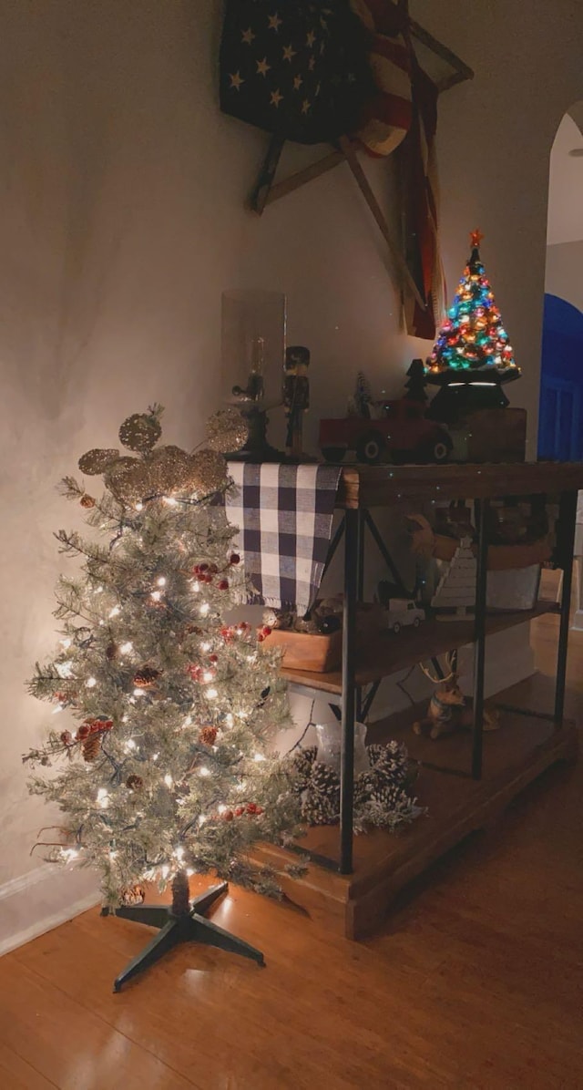 room details featuring hardwood / wood-style flooring