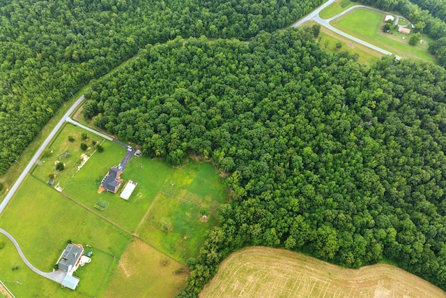 aerial view