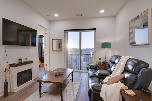 living room with hardwood / wood-style flooring