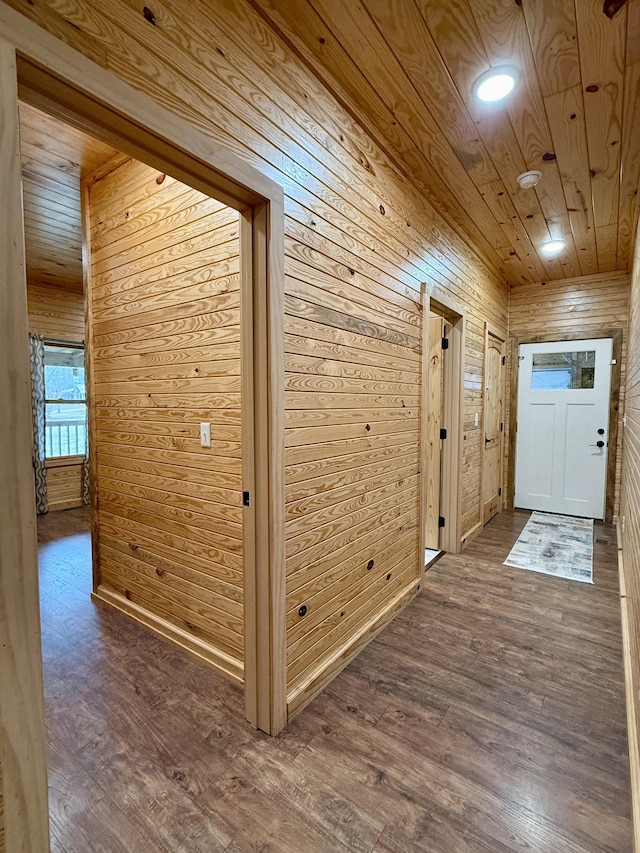 corridor with wood walls, wood ceiling, and wood finished floors