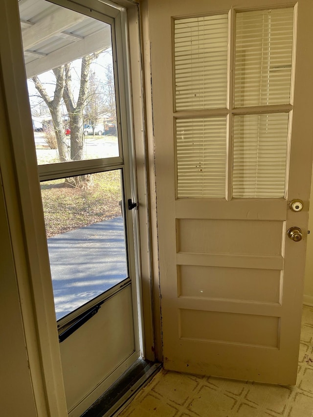 doorway featuring a wealth of natural light