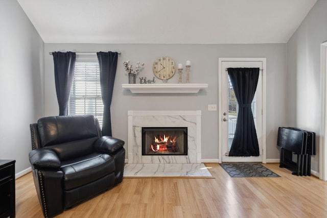 living room featuring a fireplace and light hardwood / wood-style flooring