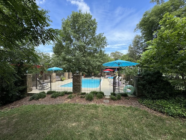 view of pool with a lawn and a patio