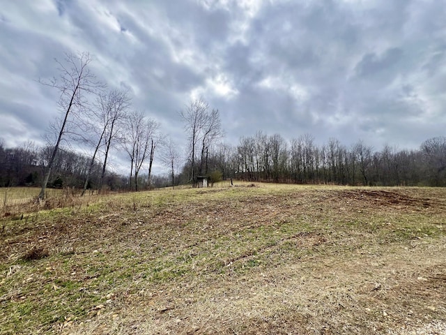 Listing photo 3 for 725 Hanna Rd, Prospect TN 38477