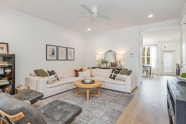 living room with ceiling fan, ornamental molding, and light hardwood / wood-style floors