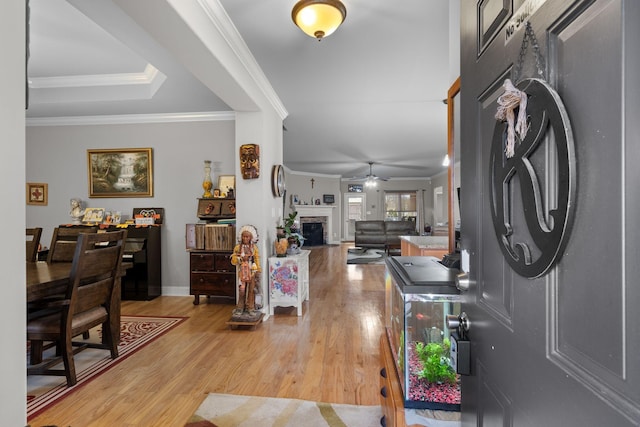 interior space with washer / dryer, ornamental molding, ceiling fan, and light wood-type flooring