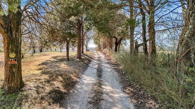 view of road