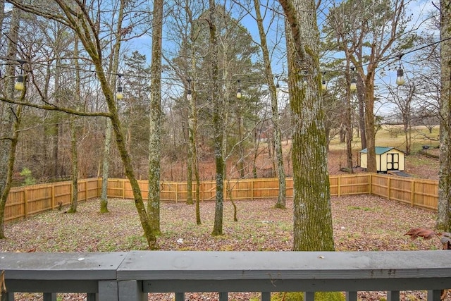 view of yard featuring a storage shed