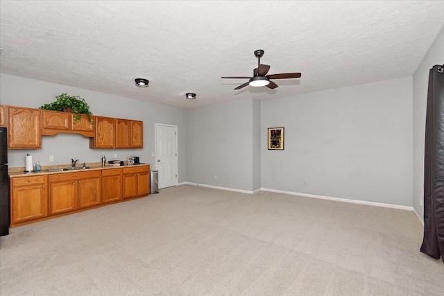 kitchen featuring sink, light colored carpet, and a textured ceiling