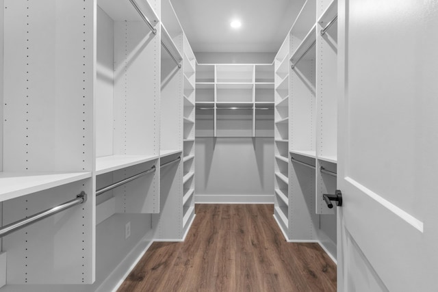 walk in closet with dark wood-type flooring