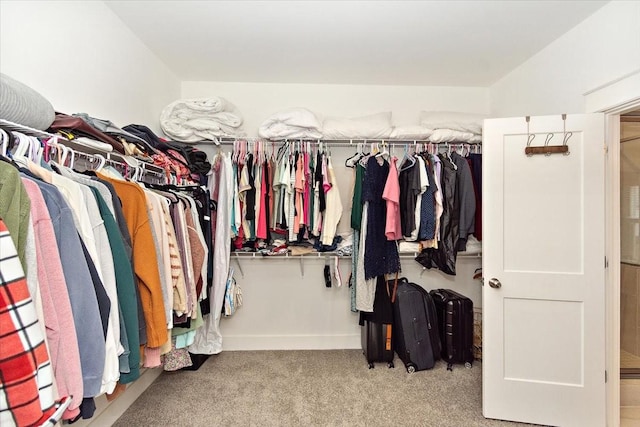 walk in closet featuring light carpet