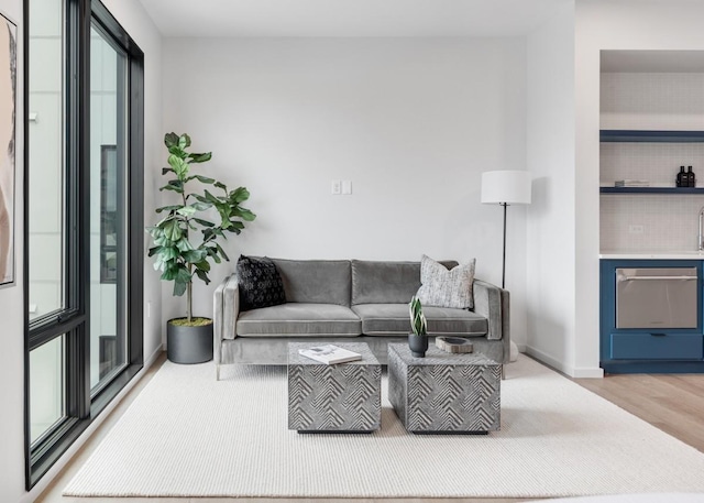 living room featuring hardwood / wood-style floors