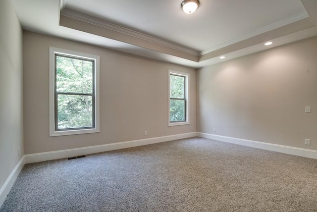 carpeted spare room featuring crown molding and a tray ceiling