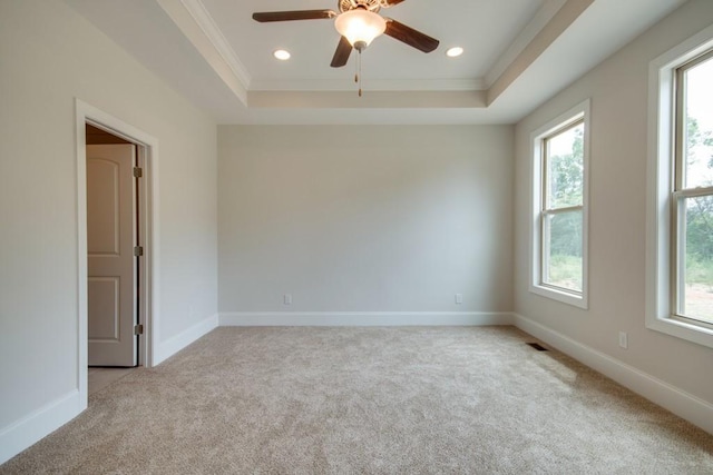 spare room featuring light carpet, plenty of natural light, ornamental molding, and a raised ceiling