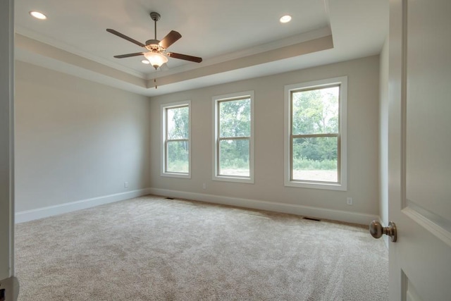 unfurnished room with light colored carpet, a healthy amount of sunlight, and a tray ceiling