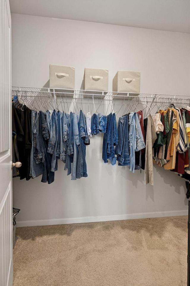 walk in closet featuring carpet floors