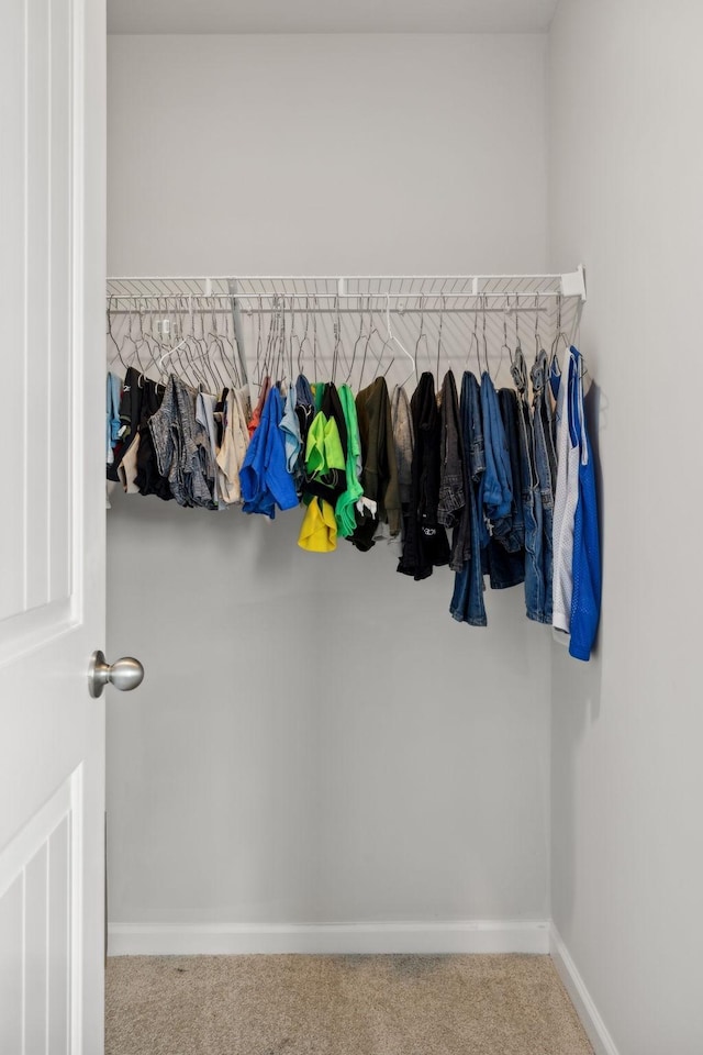 spacious closet featuring carpet flooring