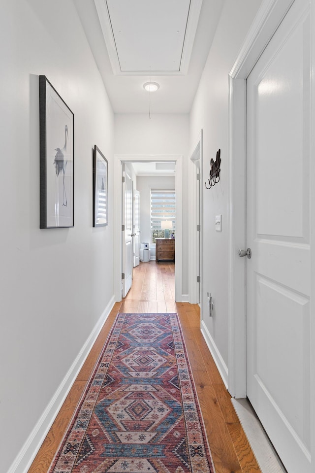 corridor featuring hardwood / wood-style floors