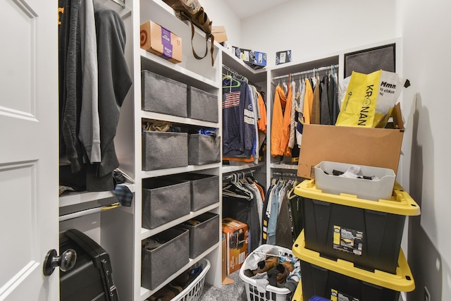 view of spacious closet