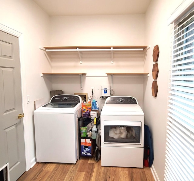 laundry room with plenty of natural light, washer and clothes dryer, and light hardwood / wood-style floors