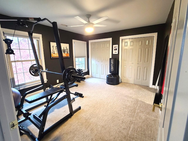 workout area with ceiling fan and carpet