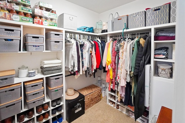 spacious closet with carpet floors