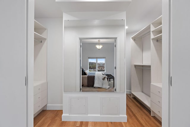 spacious closet featuring light hardwood / wood-style flooring