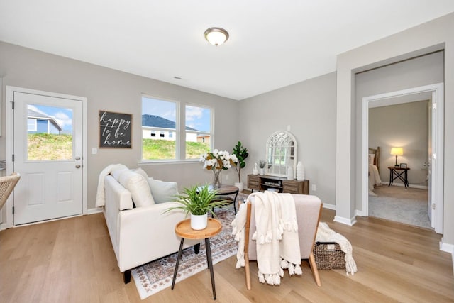 living room featuring light wood-type flooring