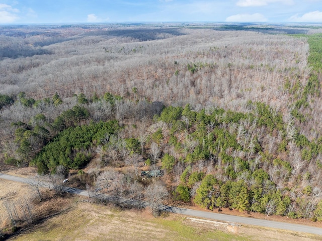 417 Sugar Tree School Rd, Sugar Tree, TN 38380 - photo 11
