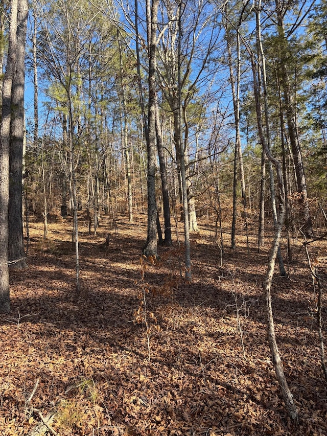 417 Sugar Tree School Rd, Sugar Tree, TN 38380 - photo 12