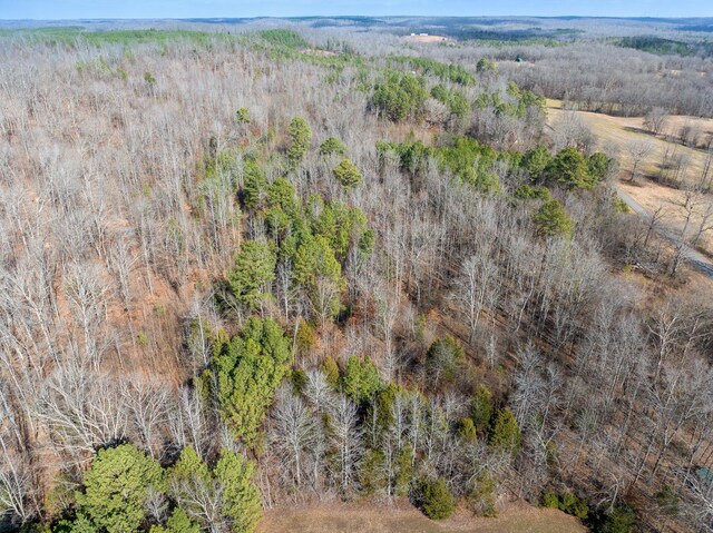 417 Sugar Tree School Rd, Sugar Tree, TN 38380 - photo 7