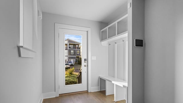 mudroom featuring plenty of natural light and light hardwood / wood-style flooring