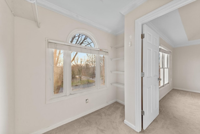 interior space featuring crown molding, a wealth of natural light, and light colored carpet