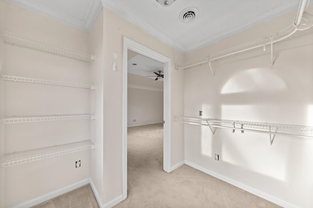 spacious closet featuring light carpet