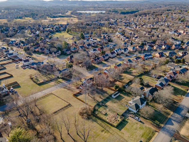 bird's eye view