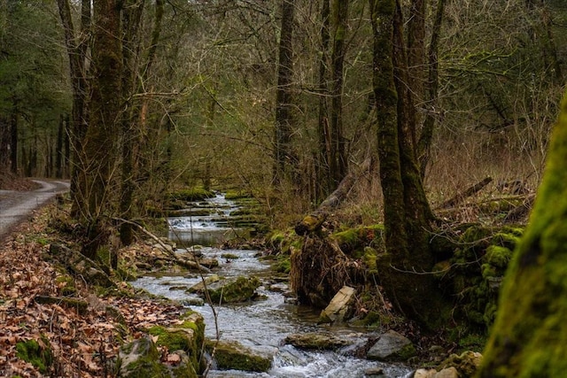 view of nature