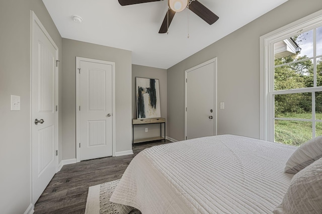 bedroom featuring multiple windows, dark wood-type flooring, and ceiling fan