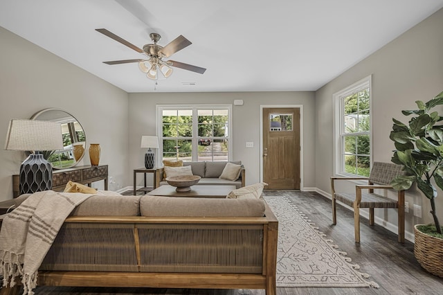 living room with ceiling fan and wood-type flooring