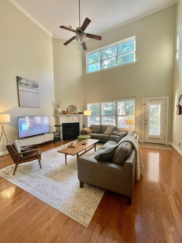 living room featuring wood-type flooring, ornamental molding, ceiling fan, and a high ceiling