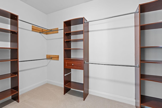 spacious closet featuring light colored carpet