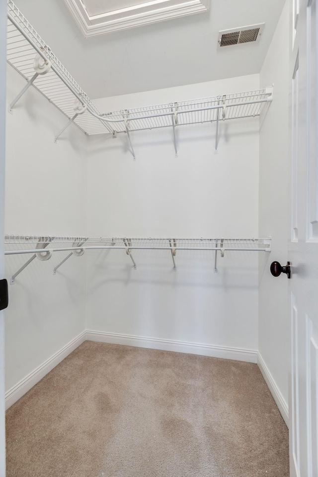 spacious closet with light carpet