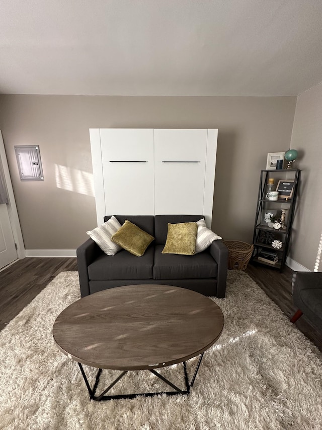 living room featuring dark hardwood / wood-style flooring