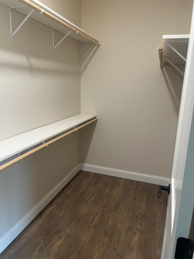 spacious closet featuring dark hardwood / wood-style flooring