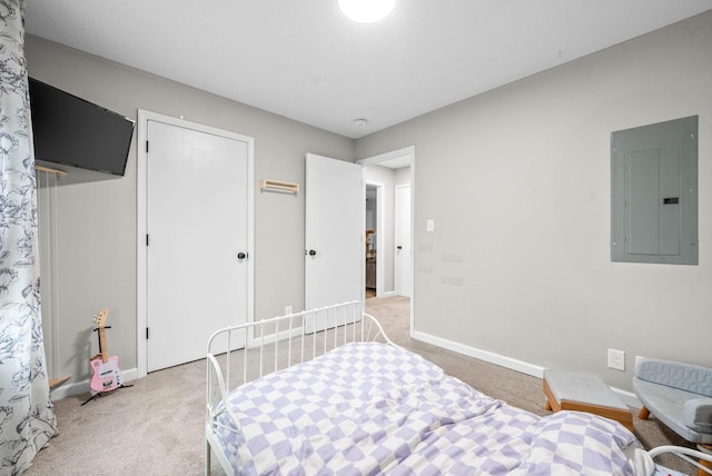 carpeted bedroom with electric panel