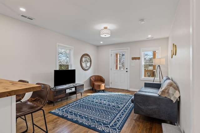 living room with a wealth of natural light and wood-type flooring