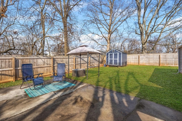 view of yard featuring a patio and a storage unit